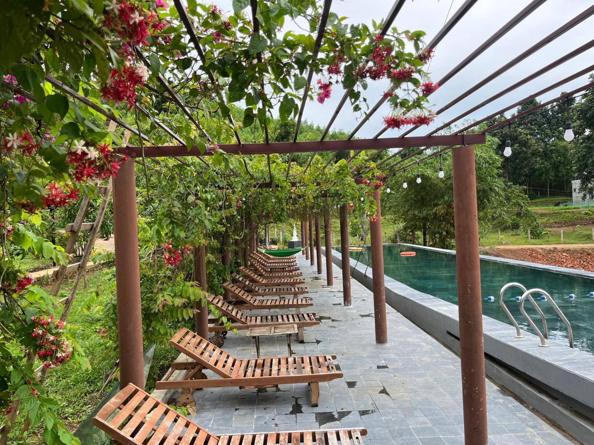 Nguyen Shack Retreat Resort Phong Nha Esterno foto