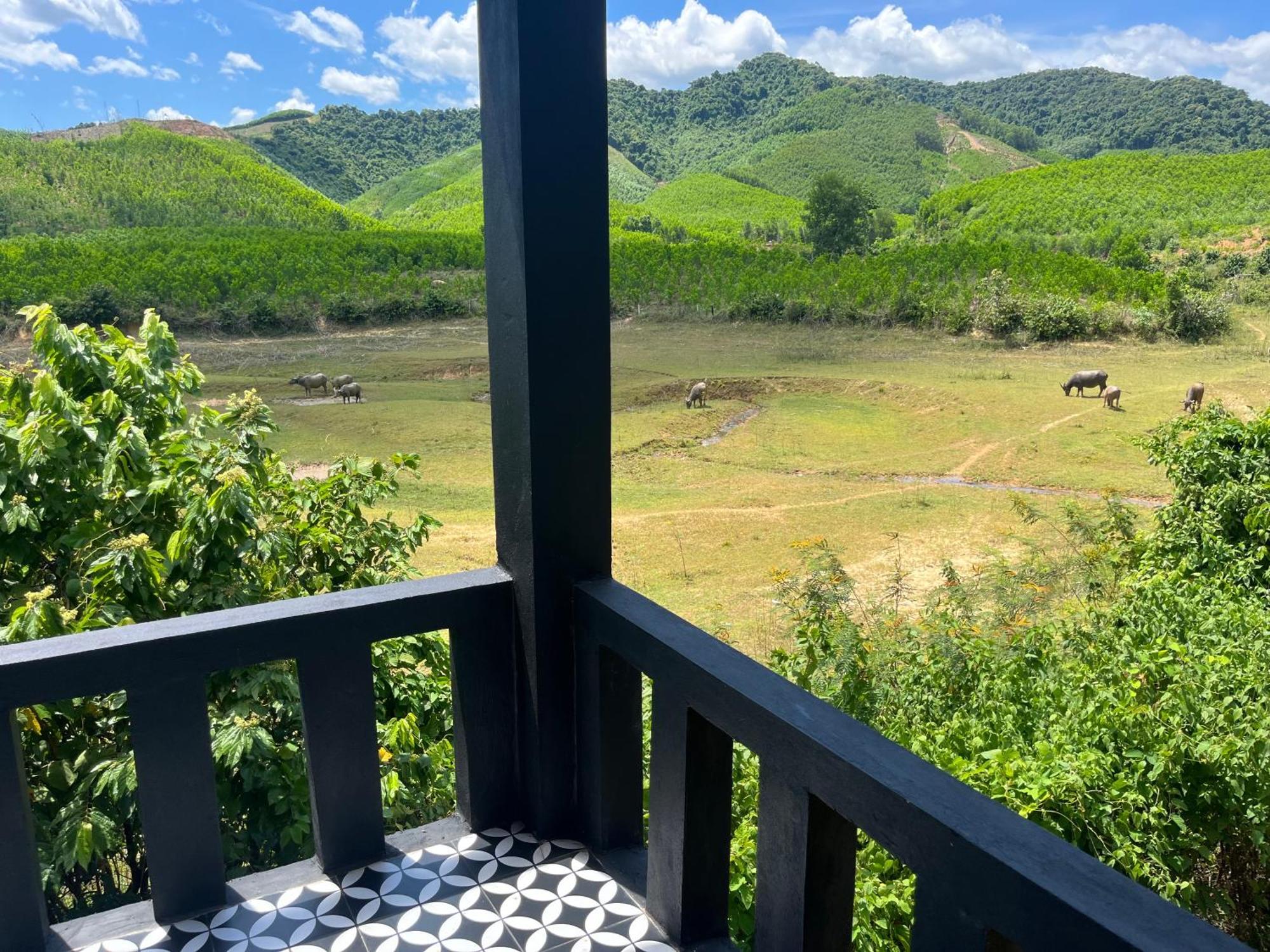 Nguyen Shack Retreat Resort Phong Nha Esterno foto