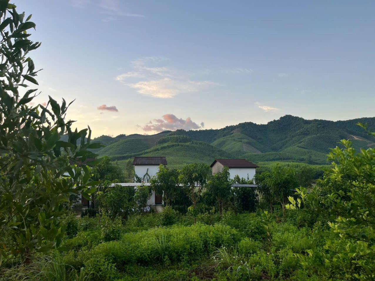 Nguyen Shack Retreat Resort Phong Nha Esterno foto
