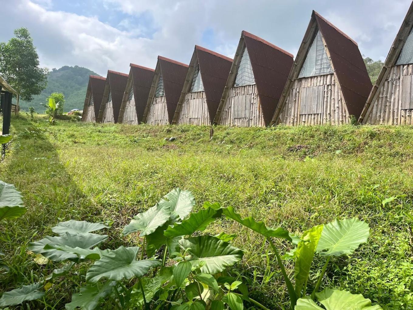 Nguyen Shack Retreat Resort Phong Nha Esterno foto